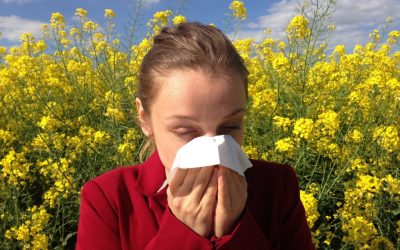Calgary Holistic Allergy Relief