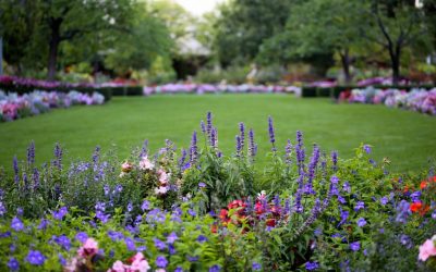 Your Health is Like a Garden