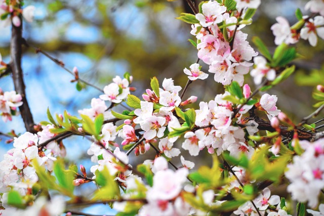 Spring Cleaning and Healthy Backs