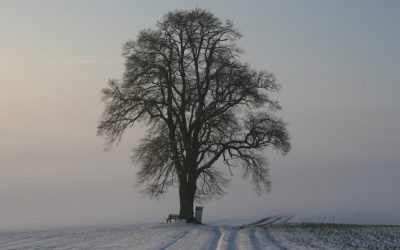 Beating the Winter Blues