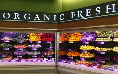 Understanding Detoxification and It’s Impact