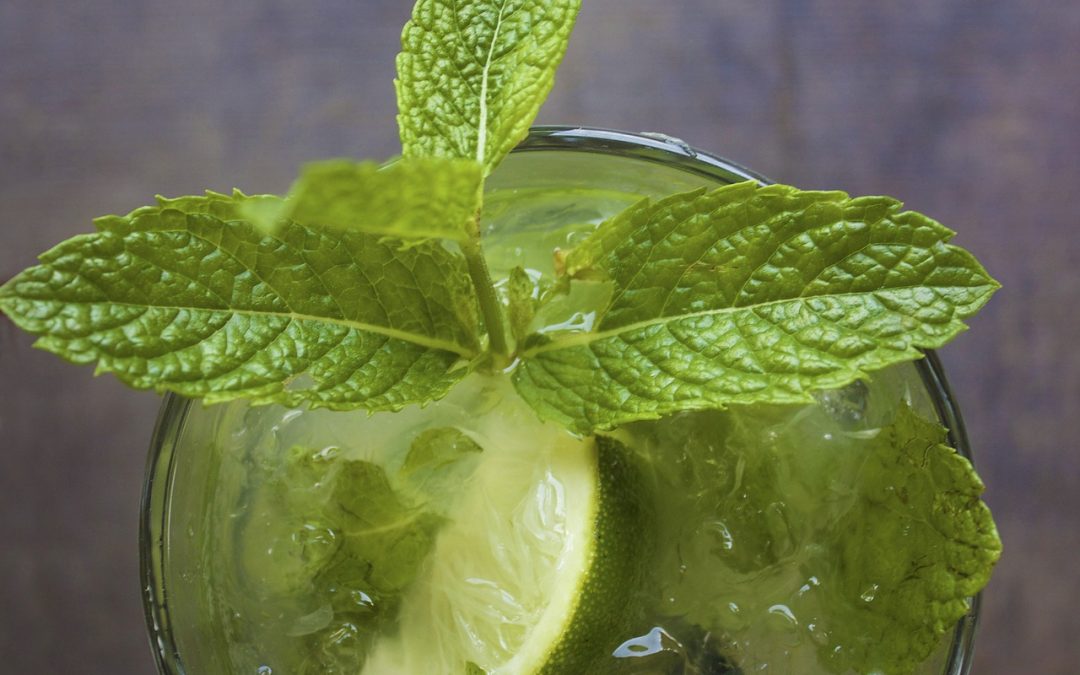 Docere Presents Cucumber Mojito (with aloe)