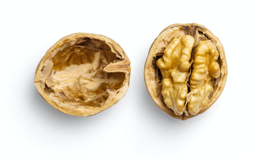 walnut for brain health